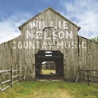Willie Nelson - Country Music