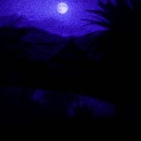 desert sand feels warm at night - 囚人 [Prisoner]