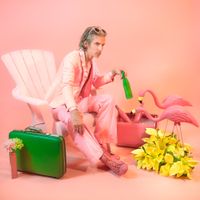 Abram Shook - Satin Thief