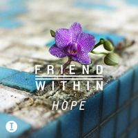 Friend Within - Hope