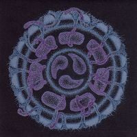 Evan Marc & Steve Hillage - Dreamtime Submersible