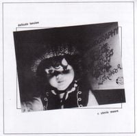 R. Stevie Moore - Delicate Tension