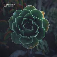 Martin Stürtzer - Photosynthesis