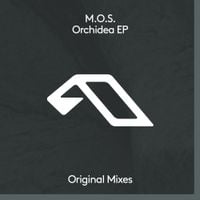 M.O.S. - Orchidea