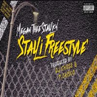 Megan Thee Stallion - Stalli (Freestyle)