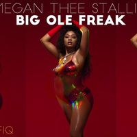 Megan Thee Stallion - Big Ole Freak