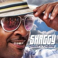 Shaggy - Summer in Kingston