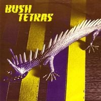 Bush Tetras - Too Many Creeps