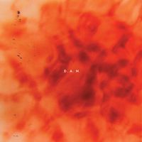 D.A.N - Sonatine