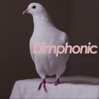 Dimphonic - Nur5e