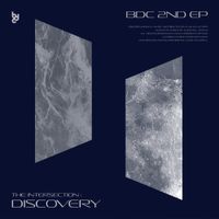 BDC - The Intersection: Discovery