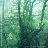Dream Dolphin - Atmospheric Healing
