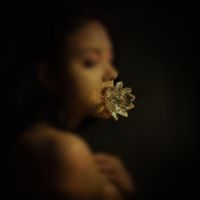 Alexa Melo - Lotus Flower