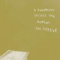 Alan Licht - A Symphony Strikes the Moment You Arrive