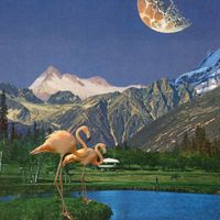 Ben Beal - Don&rsquo;t Feed the Birds