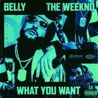 Belly - What You Want
