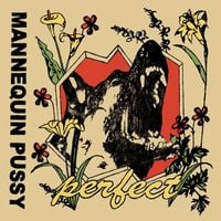 Mannequin Pussy - Control