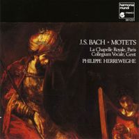 Philippe Herreweghe - Motets