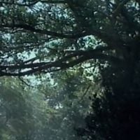 Lindsheaven Virtual Plaza - Rainforest Hill (I + II)