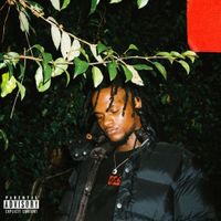 BIGBABYGUCCI - Send Help (Deluxe Version)