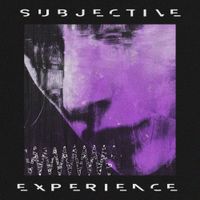 The Microgram - subjective experience