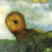 Naevus - Perfection Is A Process