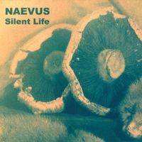 Naevus - Silent Life