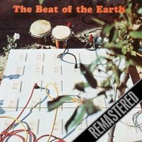The Beat Of The Earth - The Beat of the Earth