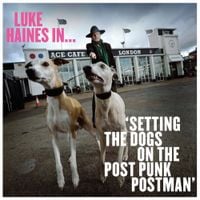 Luke Haines - Setting The Dogs On The Post Punk Postman