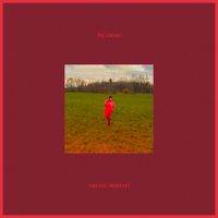 Ariane Moffatt - Incarnat