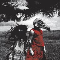 The Standard - Albatross