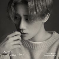 김성규 [Kim Sung Kyu] - Won't Forget You
