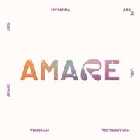 La rappresentante di lista - Amare