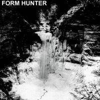 Form Hunter - Form Hunter
