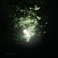 Sentinel - Murmur