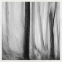 Bruno Duplant & Alfredo Costa Monteiro - Soleils Noir