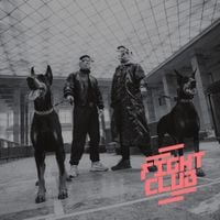PRO8L3M - Fight Club