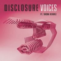 Disclosure - Voices