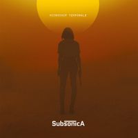 Subsonica - Microchip temporale