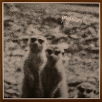 Hans Reichel & Achim Knispel - Erdm&auml;nnchen