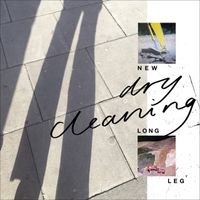 Dry Cleaning - Unsmart Lady