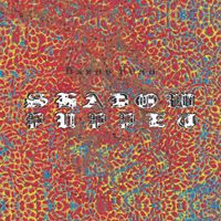 Bardo Pond - Shadow Puppet