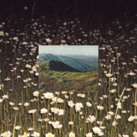 Sharp Veins - Lips The Same Color