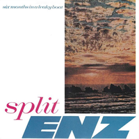 Split Enz - Six Months In A Leaky Boat