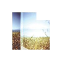 Landtitles - Your Voice In Pieces