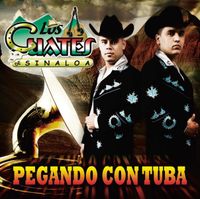 Los Cuates De Sinaloa - Pegando Con Tuba