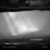 Erki P&auml;rnoja - Anima Mea