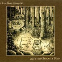 Orion Rigel Dommisse - What I Want From You Is Sweet