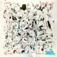 The Shins - The Great Divide (Flipped)