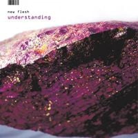 New Flesh - Understanding